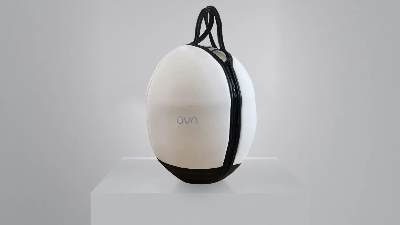 OVA felt travel bag